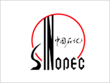 廣東中國(guó)石油化工集團(tuán)公司