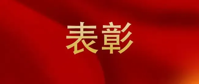 斯克維思—關于對技術(shù)開發(fā)部取得發(fā)明專利，予以表揚通報
